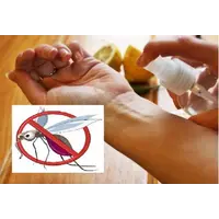Захисний репелент для шкіри від укусів комарів і мошок, Вага: 30 гр