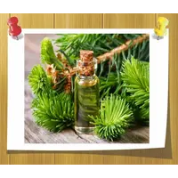 Эфирное масло Кедра, Volume, ml: 5 ml, изображение 2