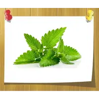 Отдушка свежая Мята для шампуней, Volume, ml: 10 ml