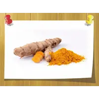 Экстракт куркумы