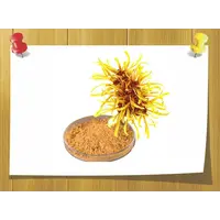 Экстракт Гаммамелиса сухой