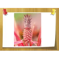 Herbanate, Volume, ml: 5 ml