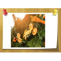 Аромаолія Hollyberry Garland