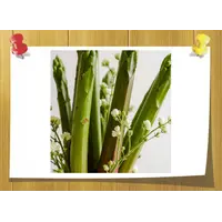 Rhuboflor, Volume, ml: 3 ml, Concentration: 25 % DPG