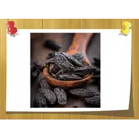 Tonka Bean Resinoid, Вага: 2 гр, Концентрація: 100% Pure