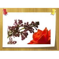 Anisyl Alcohol 50 % TEC, Volume, ml: 5 ml