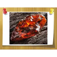Amberwood, Weight: 3 гр