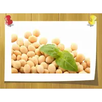 Гидролизат протеинов Сои, Volume, ml: 100 ml