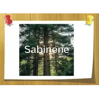 Sabinene  натуральный 75 %, Объём, мл: 5 мл