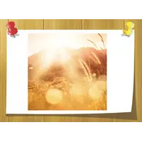 Аромамасло Sunwashed, Volume, ml: 5 ml