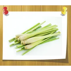 Гидролат Лемонграсс ( Душистая вода)