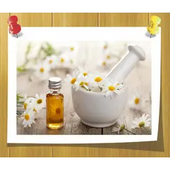Масло  Ромашки (базовое) мацерат-масло