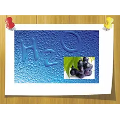 Водорастворимое масло Виноградной косточки