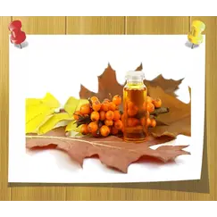 Масло облепиховое