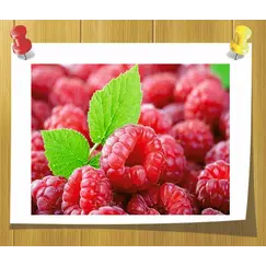 Отдушка Малина 10 мл