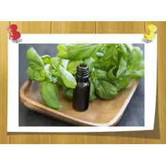 масло базилика