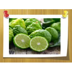 эфирное масло бергамота для оптовых покупателей