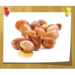 Масло Арганы опт, Объём, мл: 500 мл