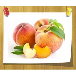 Масло Персиковых косточек опт, Объём, мл: 3 л