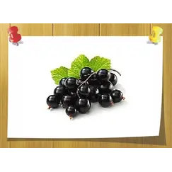 Cassiffix, Volume, ml: 2 ml 