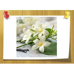 Cyclemax, Объём, мл: 3 мл