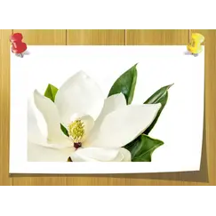 Meijiff, Volume, ml: 3 ml