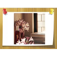 Methyl Ionone Gamma Coeur, Объём, мл: 3 мл