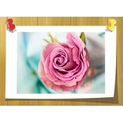 Rose Oxide, Volume, ml: 3 ml