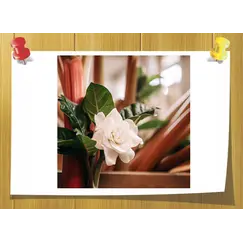 Styralyl Acetate, Объём, мл: 3 мл