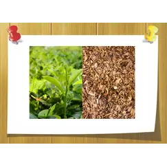 Тheaspirane, Об `єм: 2 мл , Концентрація: 100% Pure