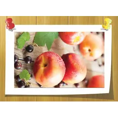 Thiomenthone, Volume, ml: 2 ml 