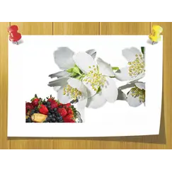 Бензил ацетат, Volume, ml: 5 ml