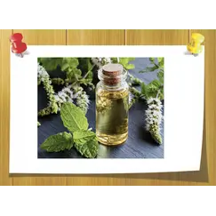 Cis-3-Hexenyl acetate, Объём, мл: 3 мл