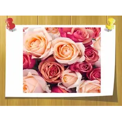 Damascone Delta, Объём, мл: 5 мл