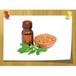 Абсолю Фенугрек