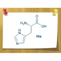 Аминокислота L- lysine, Вес: 5 гр