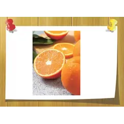 Methyl Heptenone, Объём, мл: 5 мл