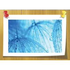 Trealix, Volume, ml: 25 ml