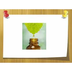 Эфирные масла оптом