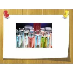 Гидролизаты оптом