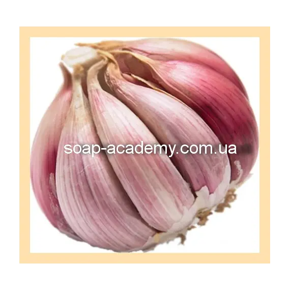 Чесночное масло пищевое