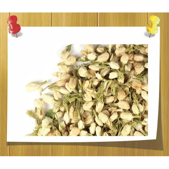 жасмин цветок