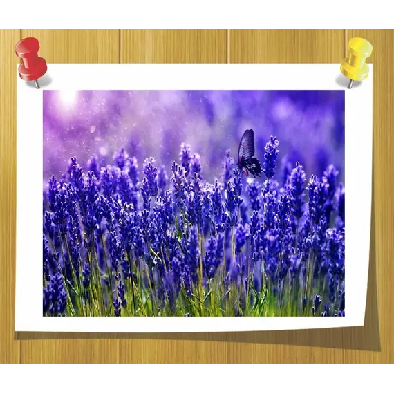 Гидролат Лаванды ( Душистая вода)