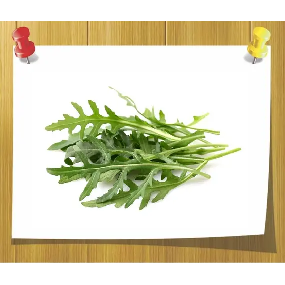 Гидролат Рукколы