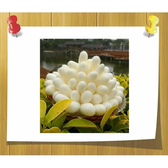 Гидролизат протеинов шелка