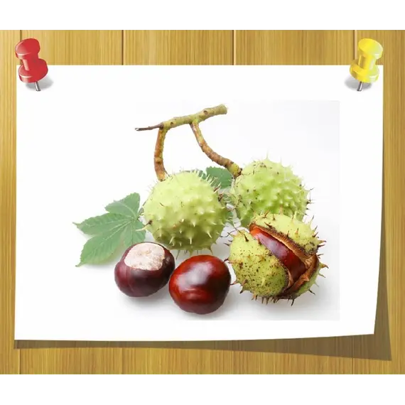 CO2-extraxt семян конского каштана