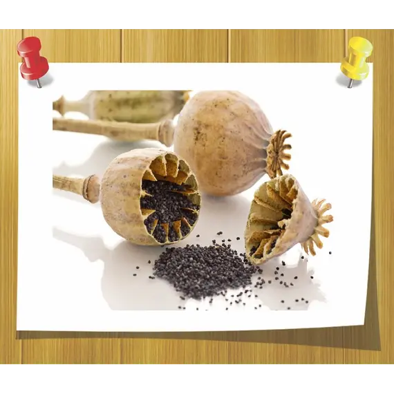 Масло Семян Мака