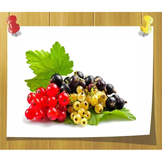 Фото 49: Отдушка Смородина