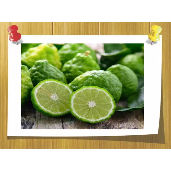 эфирное масло бергамота для оптовых покупателей