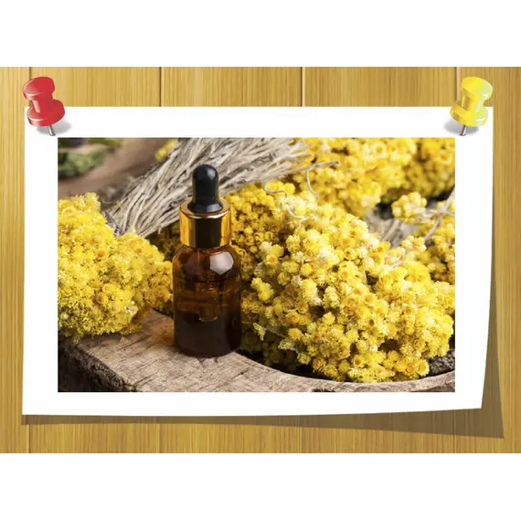 эфирное масло бессмертника